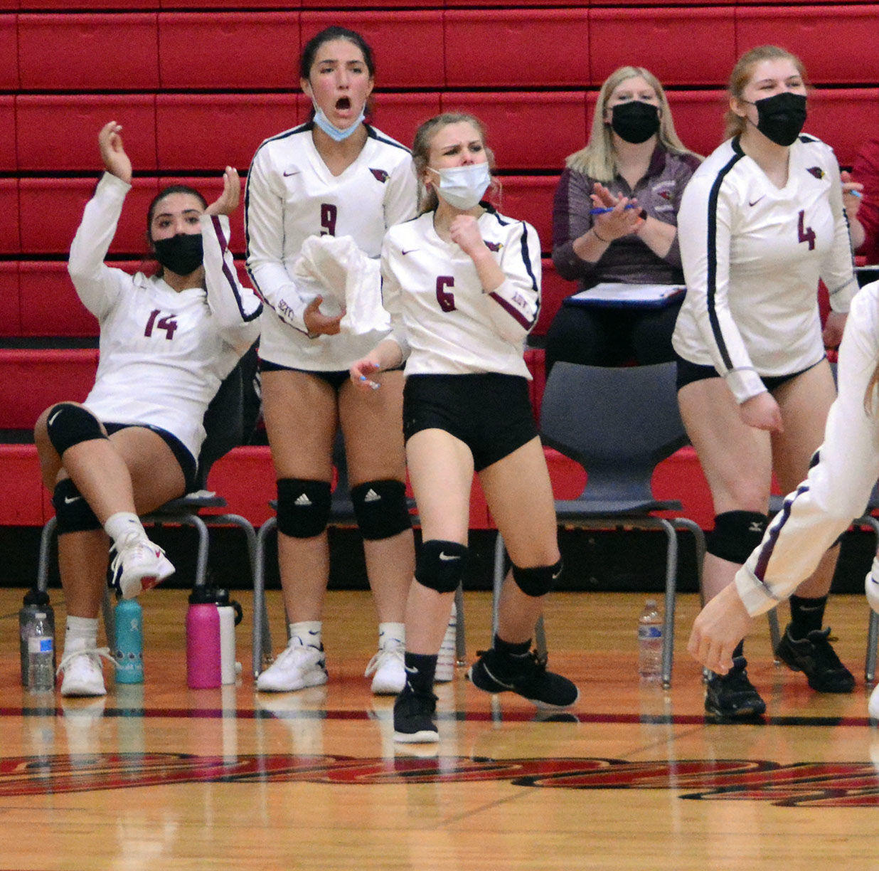 Mayville cardinals 3.jpg